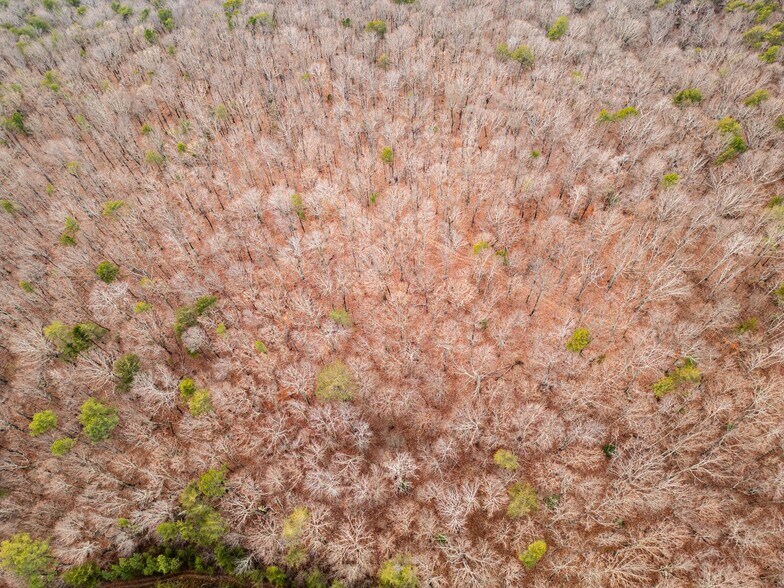 More Photos Of 762 Smith Mountain Rd, Dunlap Land For Sale