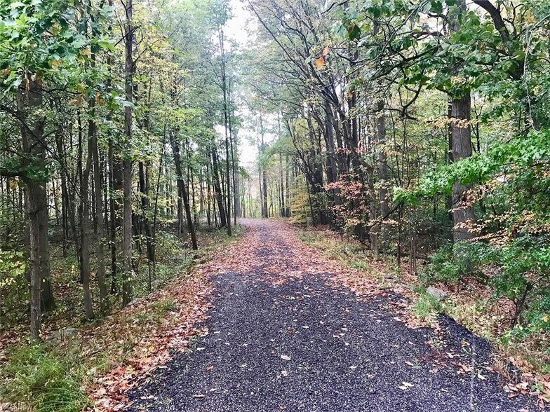 More Photos Of Bryant & SR 82 rd, Garrettsville Land For Sale