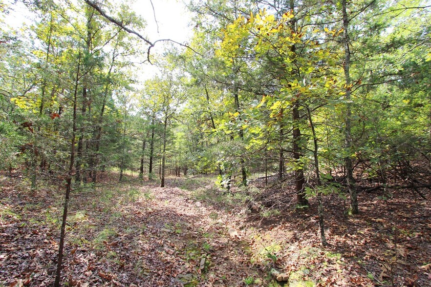 More Photos Of 226 Blythe rd, Greenbrier Land For Sale