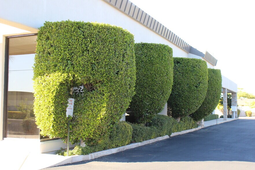 More Photos Of 1930 E Brown Rd, Mesa Office For Lease