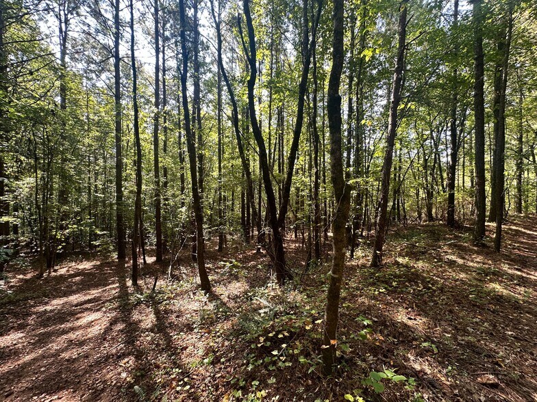 More Photos Of 00 Frix Rd, Cumming Land For Sale
