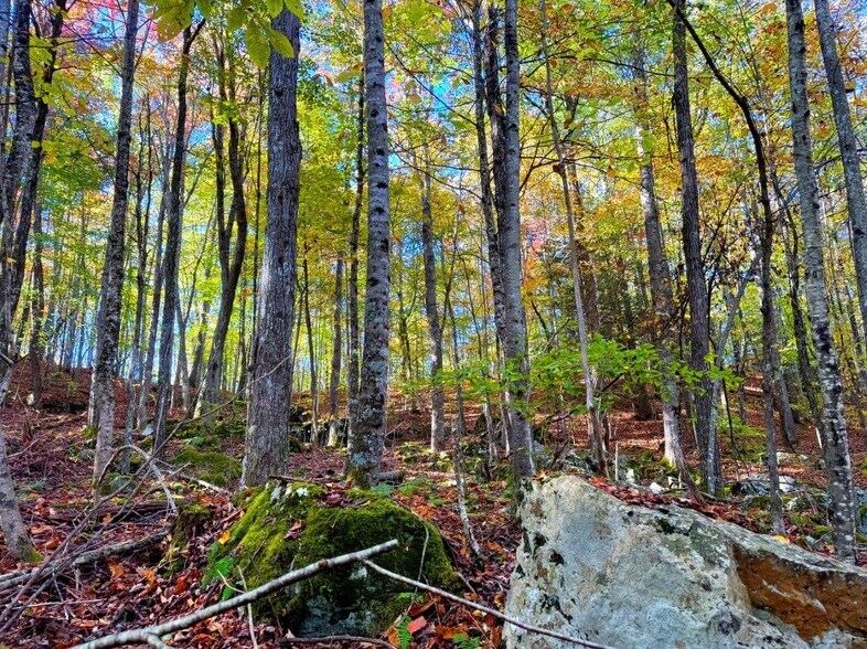 More Photos Of 0 Old Pluto Rd, Shady Spring Land For Sale