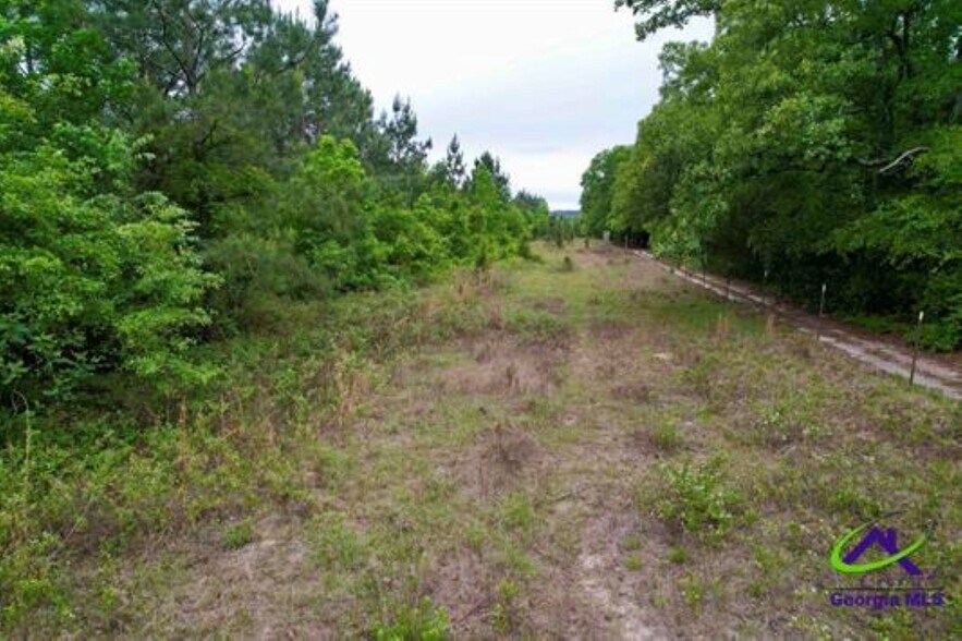 More Photos Of Chester Alamo Hwy, Chester Land For Sale