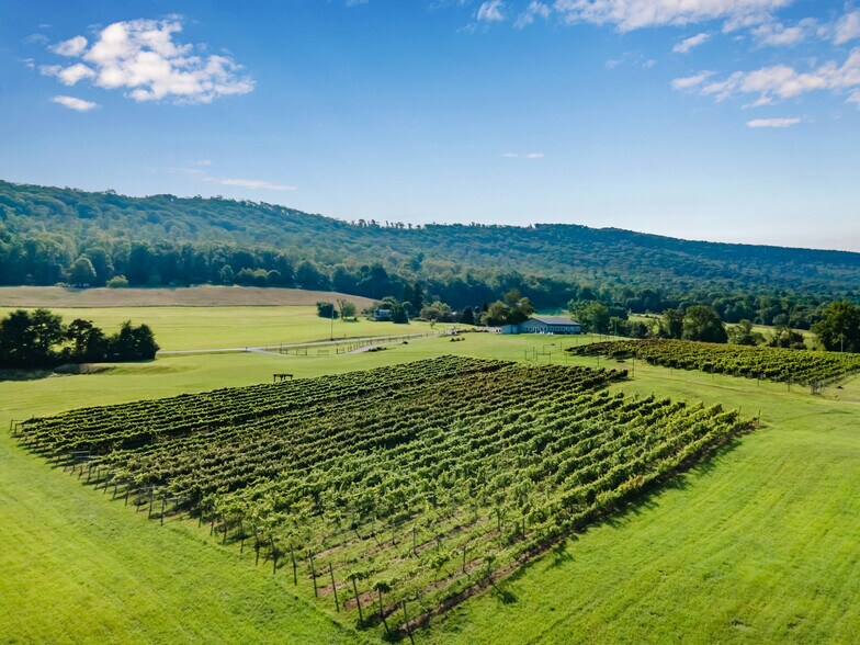 More Photos Of 596 Harman Rd, Halifax Winery Vineyard For Sale