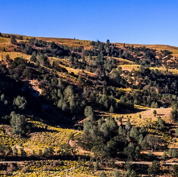 More Photos Of 45764 Golden State Hwy, Gorman Land For Sale