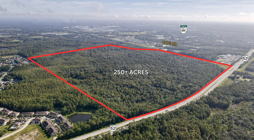 Primary Photo Of Fl 52, Hudson Land For Sale