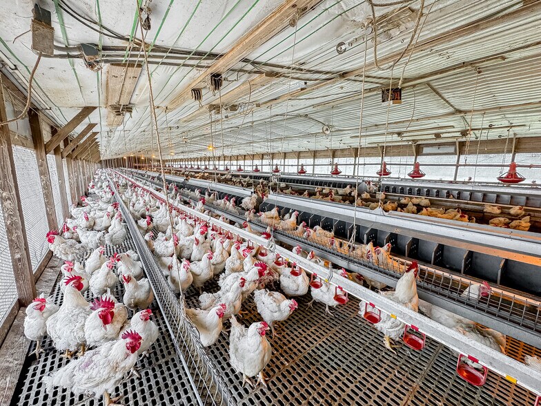 More Photos Of 1291 Myron Hart Rd, Coolidge Land For Sale