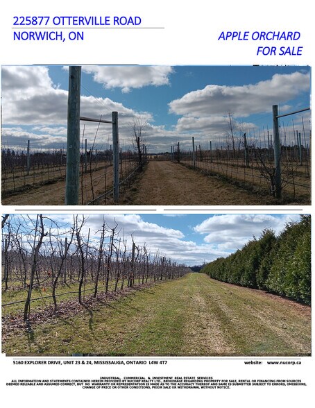 More Photos Of 225863 Otterville Road, Norwich Land For Sale