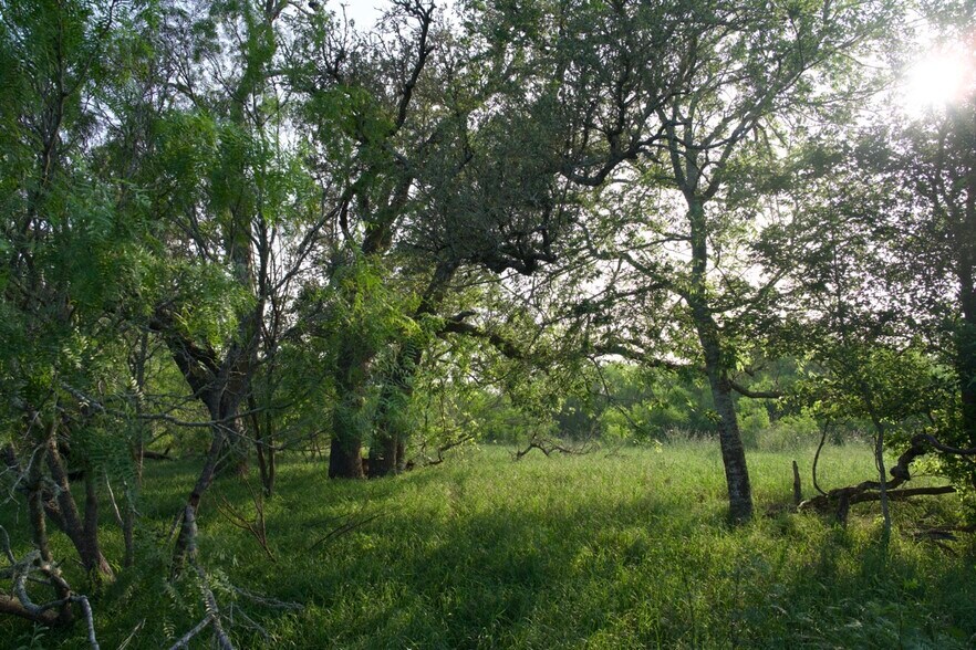 More Photos Of 00 Taylorsville Rd, Red Rock Land For Sale