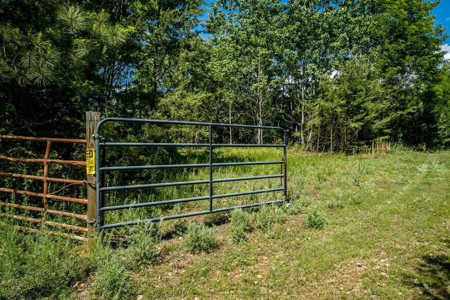 More Photos Of tbd Green Creek Rd, Schuyler Land For Sale