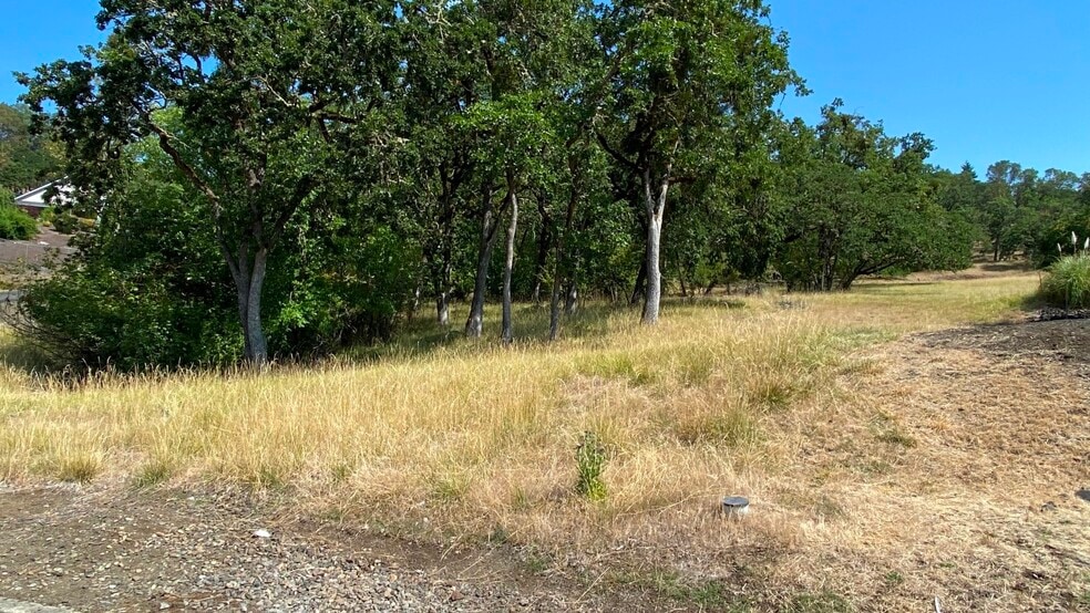More Photos Of 1219 Junker, Roseburg Land For Sale