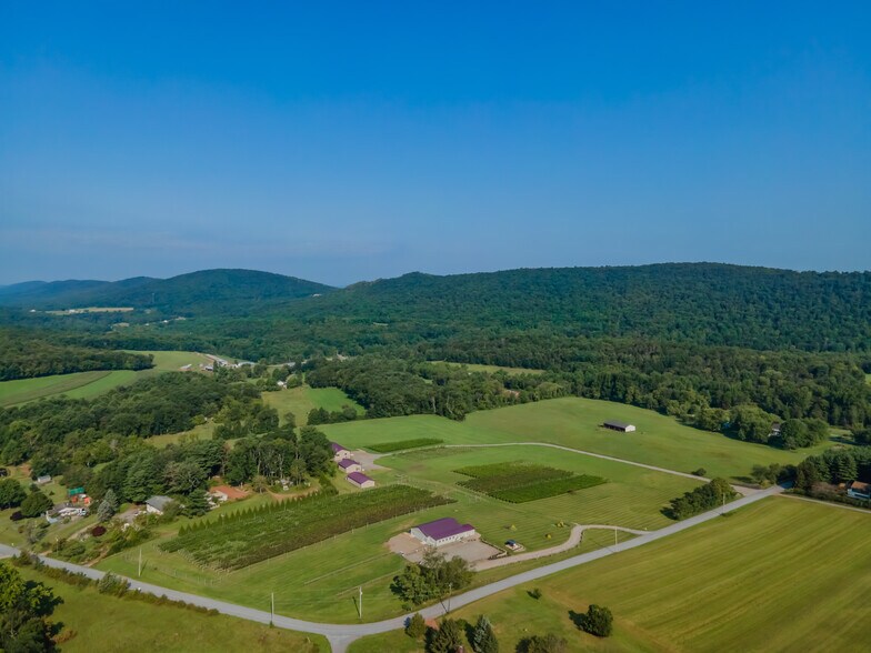 More Photos Of 596 Harman Rd, Halifax Winery Vineyard For Sale