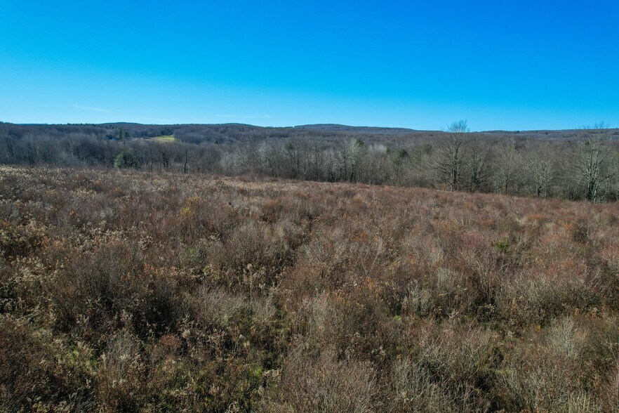 More Photos Of 263 Como Rd, Lake Como Specialty For Sale