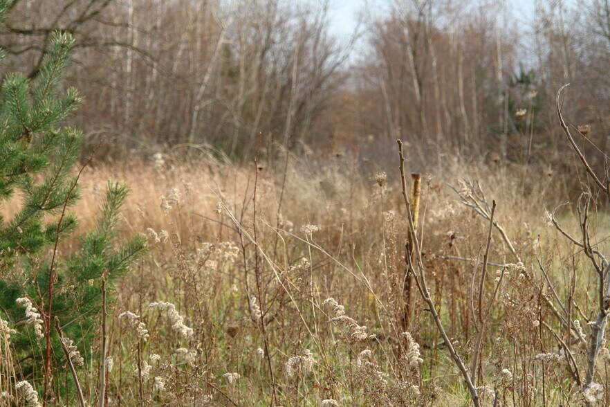 Primary Photo Of Buffalo Rd, Harborcreek Land For Sale