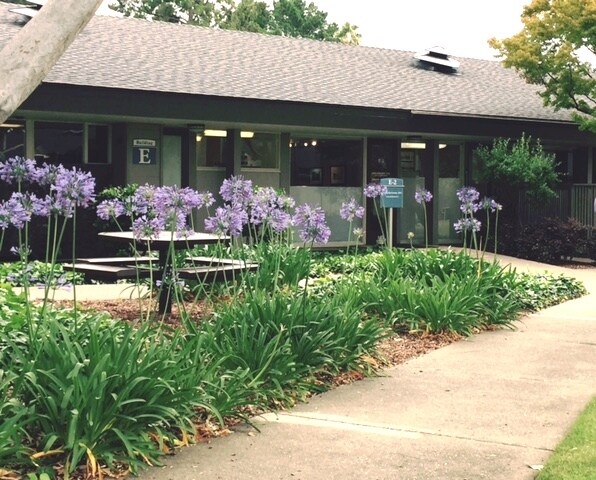 More Photos Of 877 W Fremont Ave, Sunnyvale Unknown For Lease