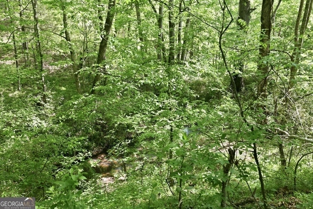 More Photos Of 3120 W Currahee St, Toccoa Land For Sale