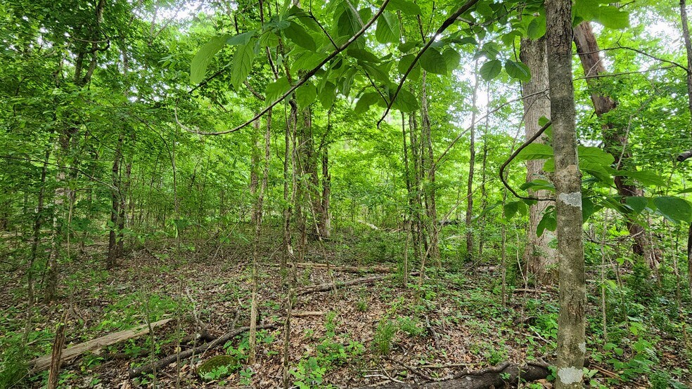 More Photos Of Near 5370 Deerfoot Parkway Pky, Trussville Land For Sale