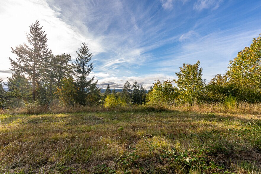 More Photos Of 0 Salzer Creek (was Fair St), Centralia Land For Sale