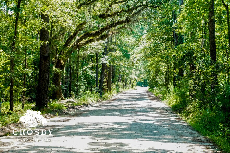 More Photos Of 3009 Lowcountry Drive, Ridgeland Land For Sale