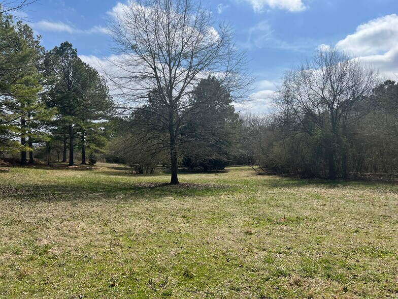 More Photos Of 1593 Old Alabama rd, Taylorsville Land For Sale