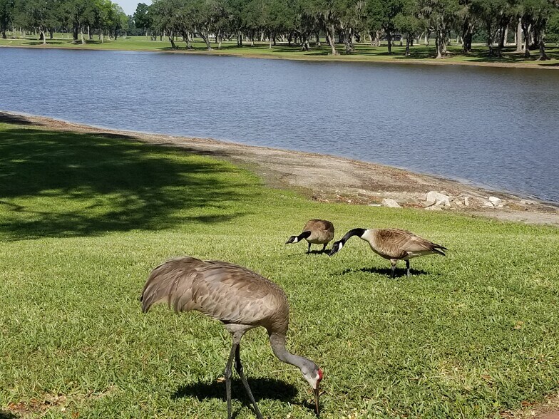 More Photos Of 15400 S US Highway 301, Summerfield Office For Sale