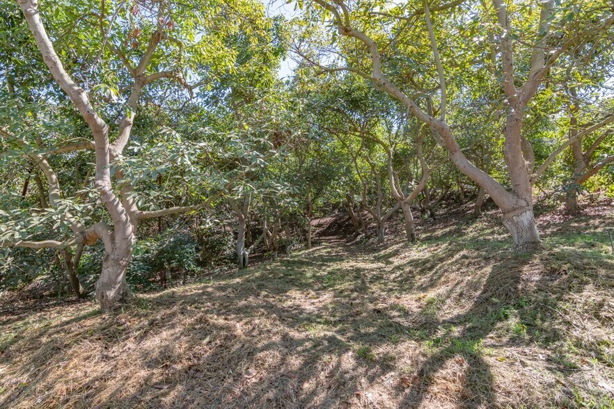 More Photos Of 30555 Camino de las Lomas, Escondido Land For Sale
