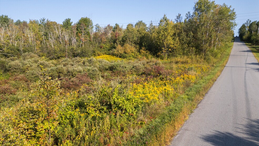 More Photos Of 219 Mudge rd, Delanson Land For Sale