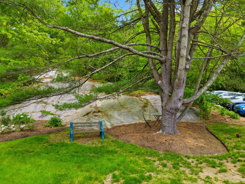 More Photos Of 35 Saybrook Rd, Essex Medical For Sale