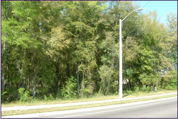 More Photos Of 113 NW 145th Ter, Jonesville Land For Sale