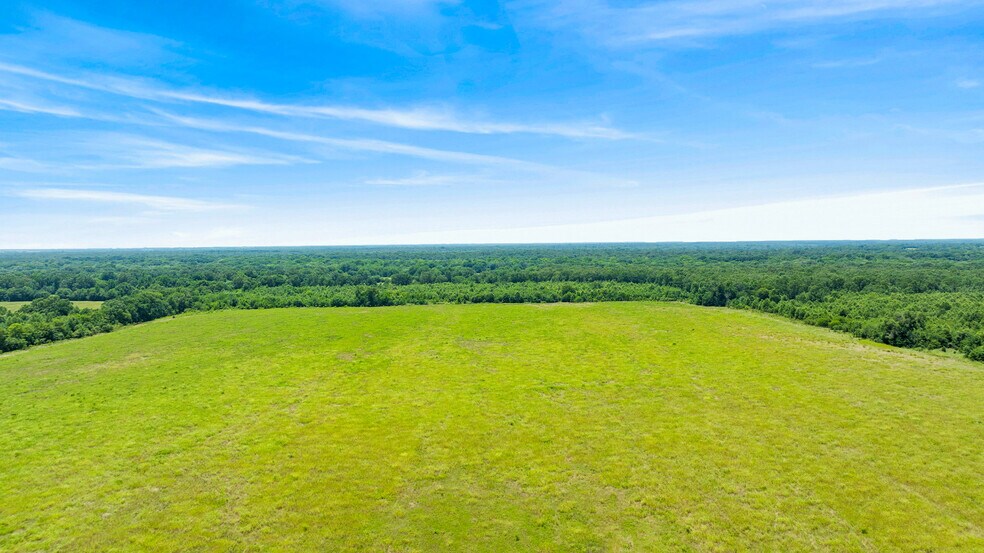 More Photos Of 449 County Road 1357, Clarksville Land For Sale