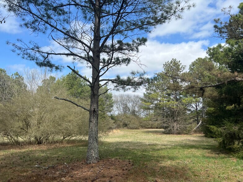 More Photos Of 1593 Old Alabama rd, Taylorsville Land For Sale