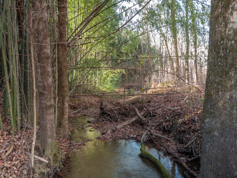 More Photos Of 00 Pittman Rd, Landrum Land For Sale