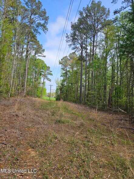 More Photos Of 0 Hwy 43, Silver Creek Land For Sale