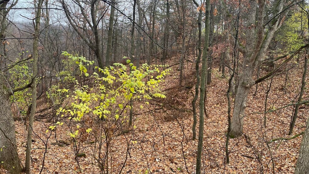 More Photos Of Lot 27-29 Hillside Dr, Wisconsin Dells Land For Sale
