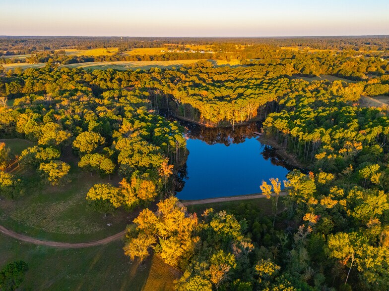 More Photos Of 391 Farm to Market 1519, Scroggins Land For Sale