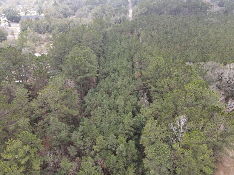 More Photos Of 0 Baldwin St, Satsuma Land For Sale