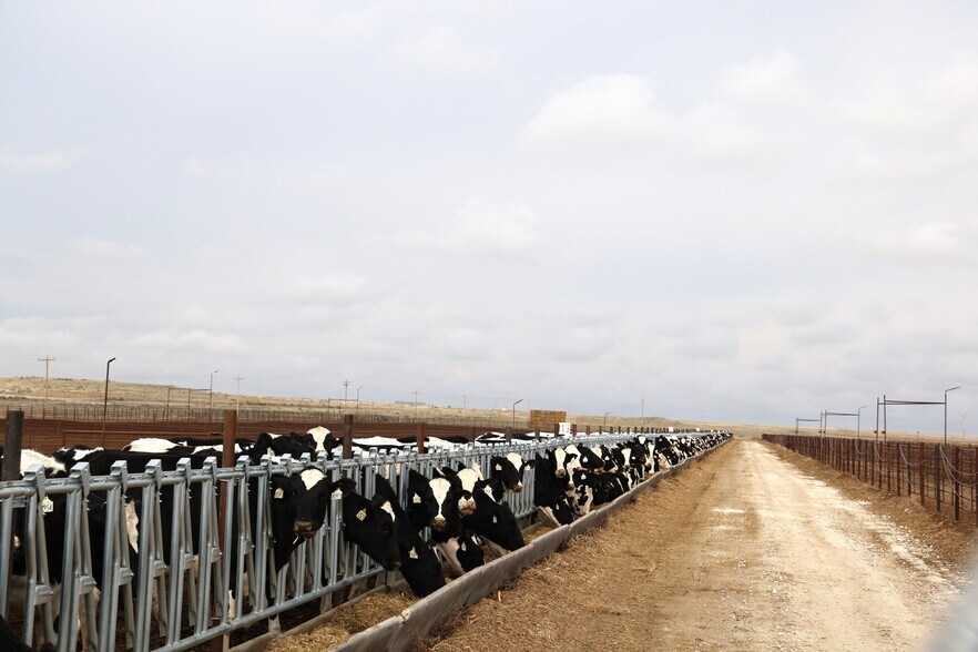 More Photos Of 11905 Co Rd 5, Merino Land For Sale