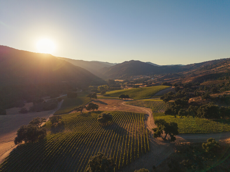 Primary Photo Of 18190 Cachagua Rd, Carmel Valley Winery Vineyard For Sale