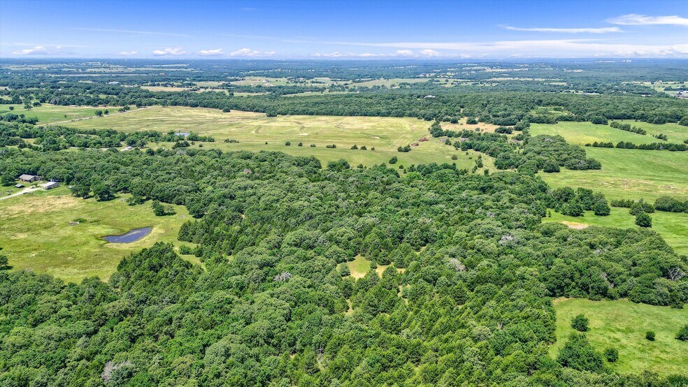 More Photos Of TBD CR 113, Whitesboro Land For Sale