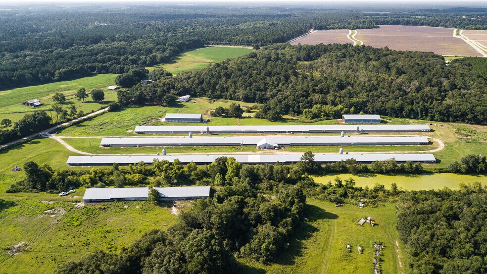 More Photos Of 1291 Myron Hart Rd, Coolidge Land For Sale