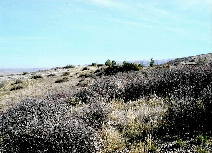 More Photos Of Cuyama Hwy, Maricopa Land For Sale