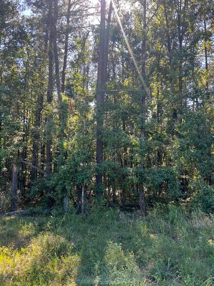 More Photos Of 0 Sipka Road Rd, Locust Grove Land For Sale