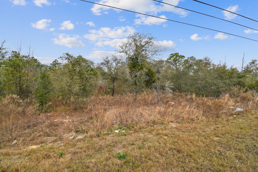 More Photos Of 0 Sunshine Grove Rd, Brooksville Land For Sale