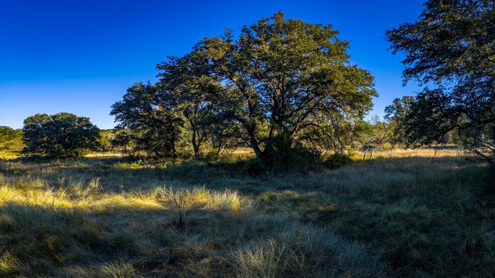 More Photos Of 7499 US 87 hwy, Mason Land For Sale