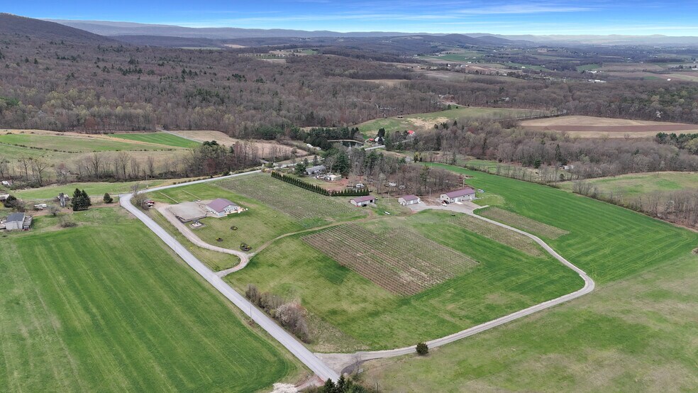 More Photos Of 596 Harman Rd, Halifax Winery Vineyard For Sale