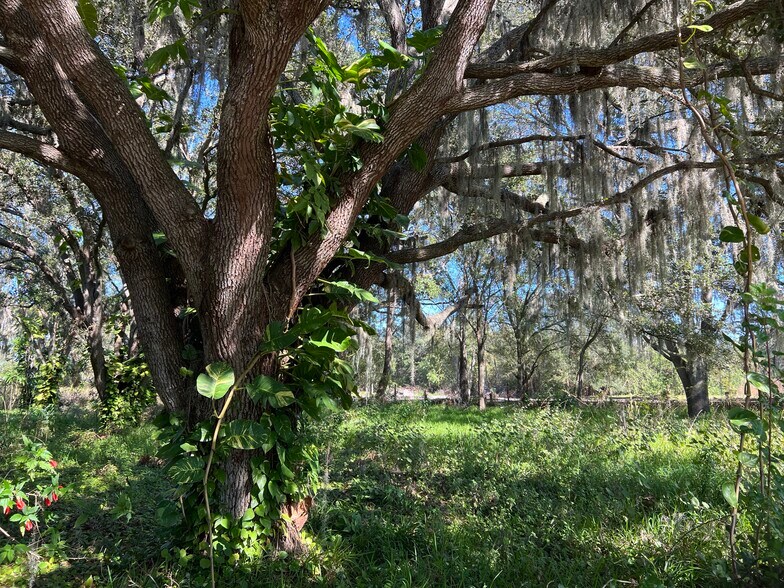 More Photos Of 6613 Simmons Loop, Riverview Land For Sale