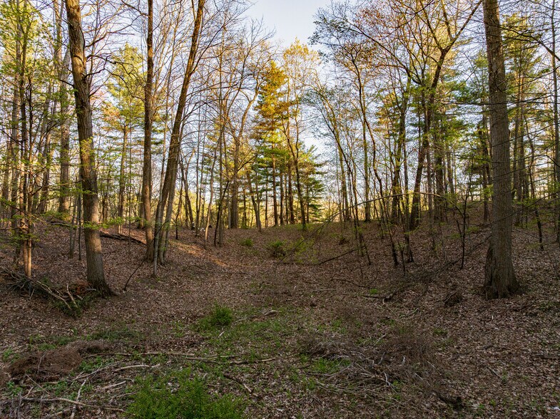 More Photos Of 350 Church Rd, Albany Land For Sale