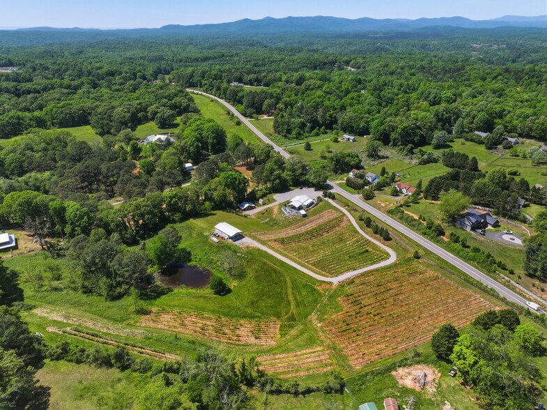More Photos Of 2317 GA-382, Ellijay Winery Vineyard For Sale