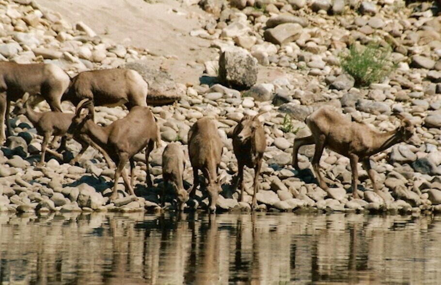 More Photos Of 154 Heath Dr, Riggins Sports And Entertainment For Sale