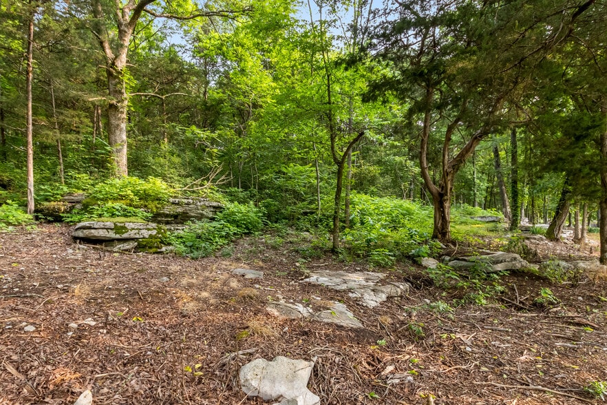 More Photos Of 1049 Oregon Rd, Lascassas Specialty For Sale